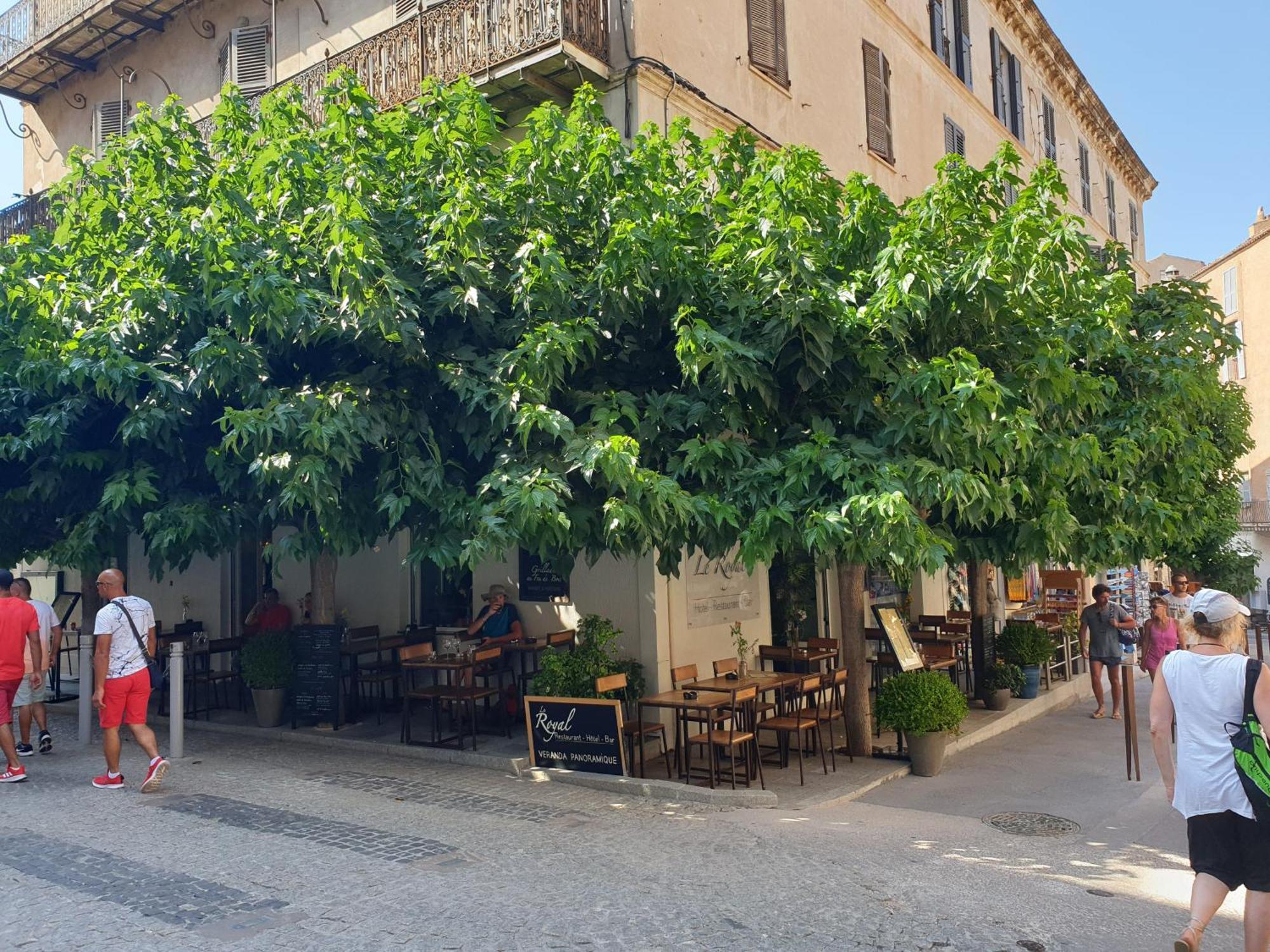 Le Royal Hotel Restaurant Bonifacio  Exterior photo
